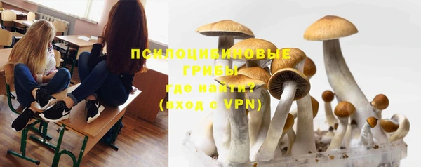 дмт Армянск