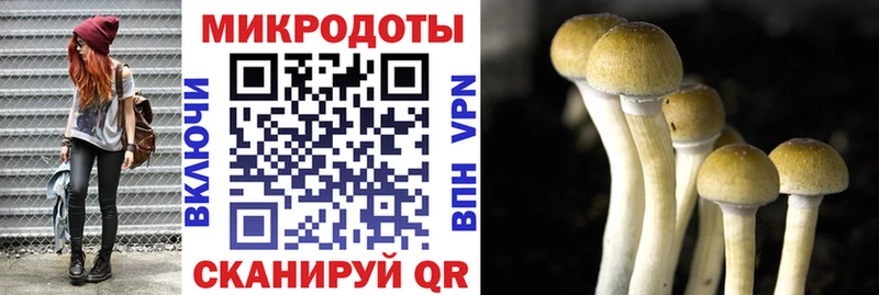 Псилоцибиновые грибы ЛСД  Купить  Уржум 